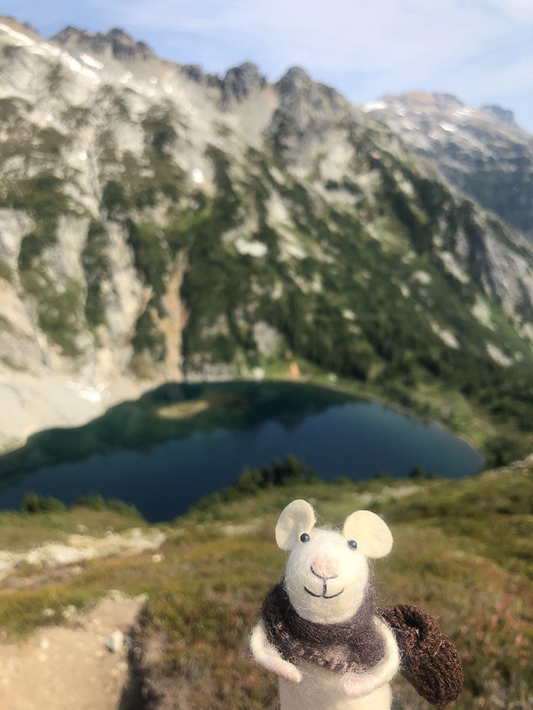 Tom goes to Northern Cascades for a hike.