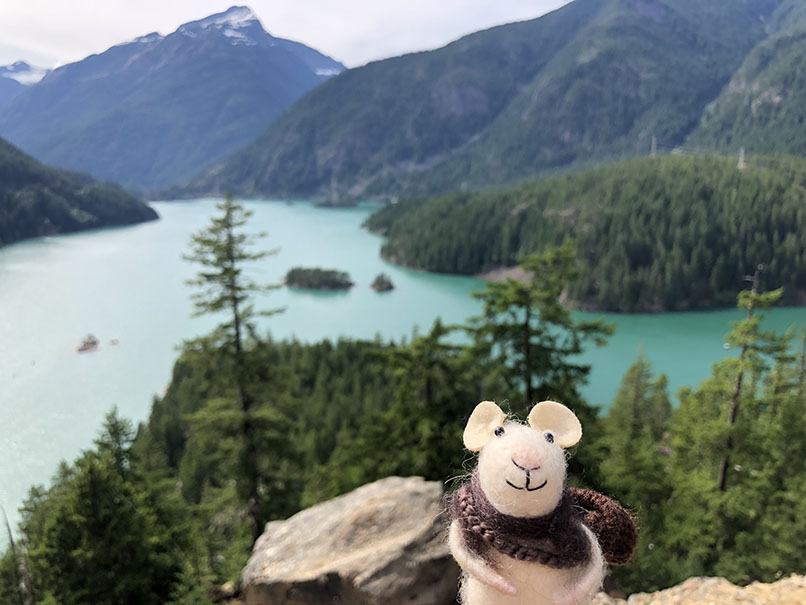Tom visits the Diablo Lake Viewpoint in the Northern Cascades.