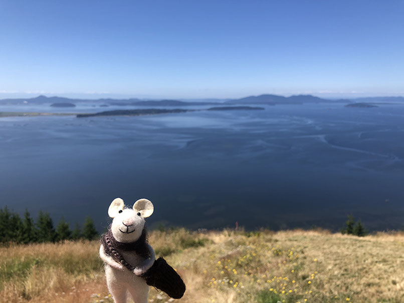 Tom goes to Oyster Dome.
