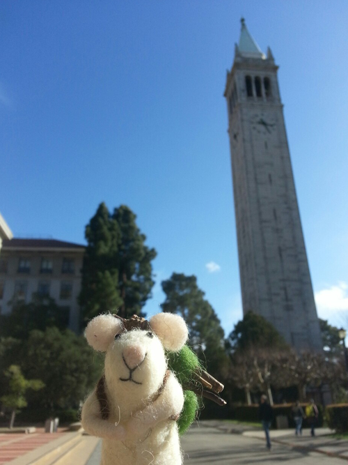 Tom goes to visit UC Berkeley!